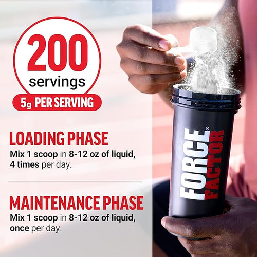 WellBox Creatine Collection – premium creatine supplements designed to support strength, muscle energy, endurance & recovery. Elevate sports nutrition, daily wellness essentials, and mindful living with trusted performance support.