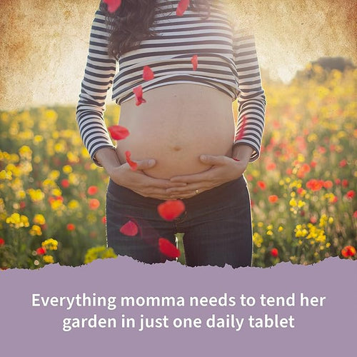 WellBox Prenatal Vitamins collection with premium supplements containing folate, iron, calcium, and DHA. Supports pregnancy health, baby development, and mindful self-care at home.