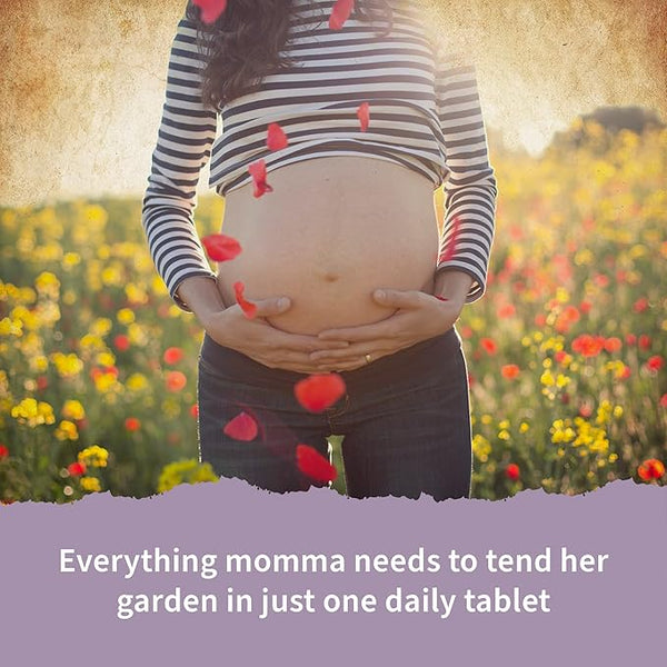 WellBox Prenatal Vitamins collection with premium supplements containing folate, iron, calcium, and DHA. Supports pregnancy health, baby development, and mindful self-care at home.