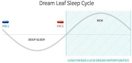Dream Leaf Pro - Premium Lucid Dreaming Supplement - 60 Capsules,Valerian Root, Mugwort, Alpha GPC, Choline Bitartrate, Huperzine-a