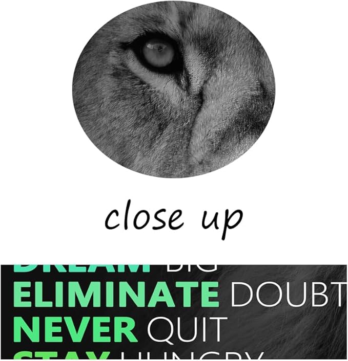 Inspirational Canvas Wall Art Colorful Poster Painting Artwork Motivational Lion Picture Print Wall Decor for Home Office Living Room Bedroom Workplace Wooden Framed Ready to Hang [12''Wx 18''H]