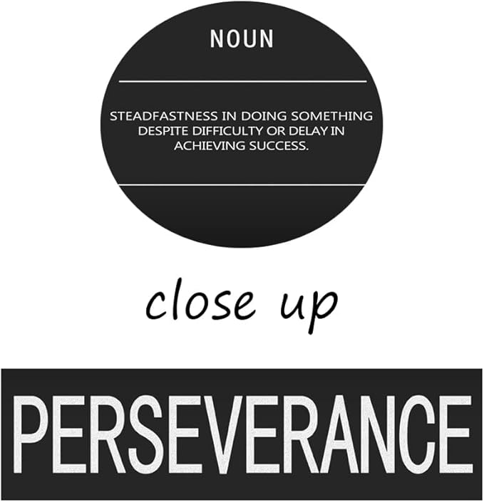 Office Decor Inspirational Canvas Wall Art Motivational Painting Perseverance Noun Pictures Modern Inspiring Entrepreneur Quote Success Posters and Prints Artwork Home Gym Decor[24" W x 36" H]