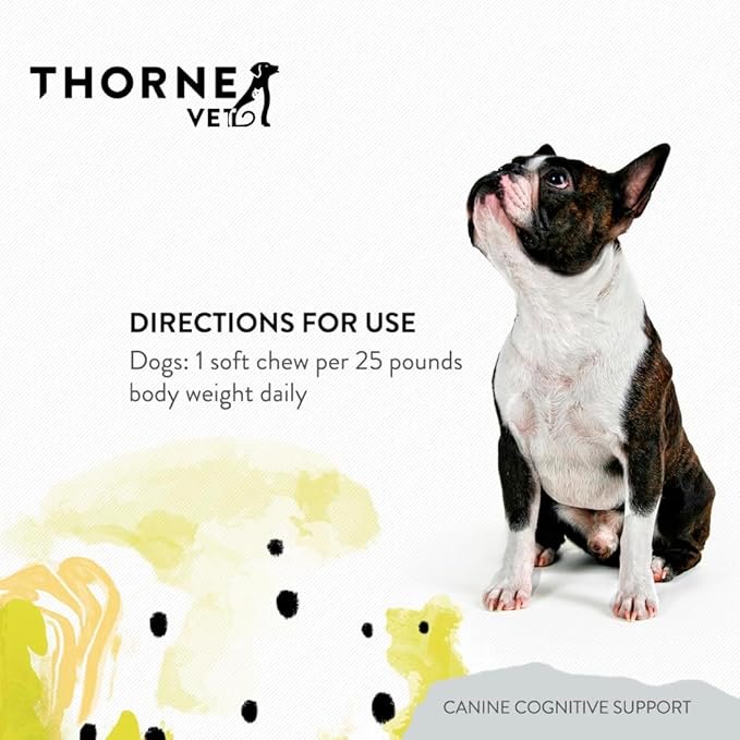 ThorneVet Canine Cognitive Support Soft Chews for Dogs - Great Tasting Health Supplement with B Vitamins and Antioxidants to Support The Brain Health of Your Senior Dog - 90 Soft Chews