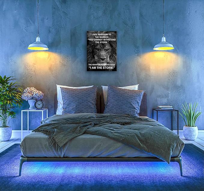 Motivational Canvas Wall Art Inspirational I Am The Storm Posters Modern Inspiring Quotes Success Pictures Positive Paintings Prints Artwork Home Wall Decor Office Gym Framed[18" W x 24" H]