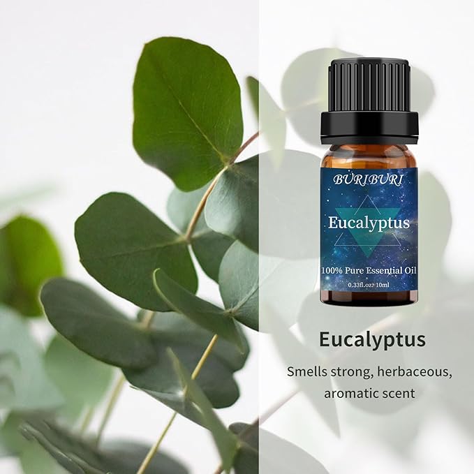 BURIBURI Jasmine Essential OIil and Eucalyptus Oil 2Pack Natural Eucalyptus Essential Oils 10ml for Diffusers (Jasmine+Eucalyptus)