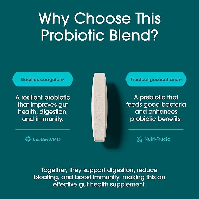 Nutrition Essentials Probiotics for Women and Men - with Lactase Enzyme and Prebiotic Fiber for Digestive Health - 80 Percent + More Potent Supplement for Gut Health Support - Vegan Formula