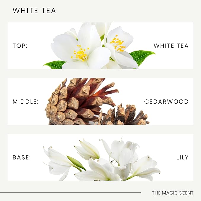 White Tea Diffuser Oil - Hotel & Home Luxury Scents - Diffuser Oil Scents for Home Designed for Use in All Diffusers - 8.5 fl oz, 250 mL