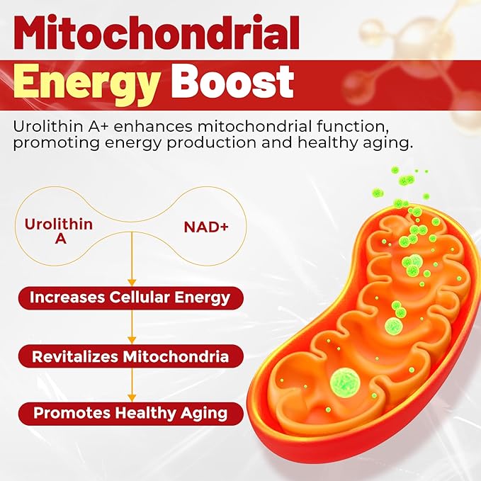 Urolithin A 1000mg Gummies with NAD+, CoQ10, Resveratrol & L-Carnitine – Liposomal Urolithin A+ Supplement for Mitochondrial & Cellular Energy, Muscle & Healthy Aging – High Absorption – Vegan, 60ct