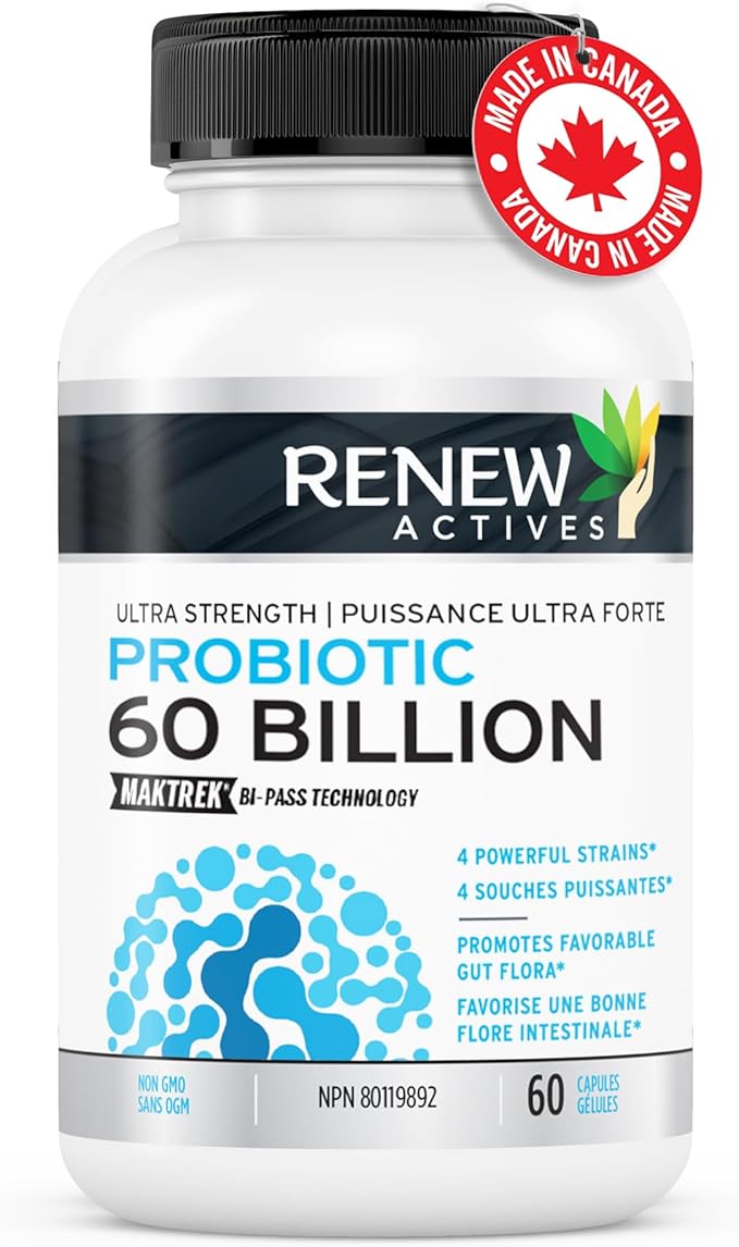 Renew Actives Probiotic Supplement for Digestive Health 60 Billion CFU per 2 Capsules - Advanced Formula with Prebiotic Benefits - Supports Gut Flora Balance & Wellness - Made in Canada - 60 Capsules