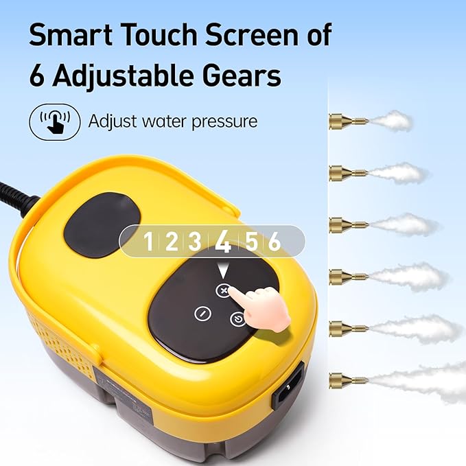 2500W Portable Steam Cleaner, Steam Shot Cleaner Handheld Steamer for Car Detailing, High Heat Cleaning Machine with Brush Heads for Bed Bugs Couch Furniture Kitchen Bathroom Grout and Tile