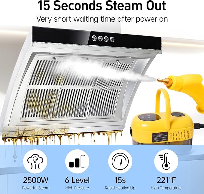2500W Portable Steam Cleaner, Steam Shot Cleaner Handheld Steamer for Car Detailing, High Heat Cleaning Machine with Brush Heads for Bed Bugs Couch Furniture Kitchen Bathroom Grout and Tile