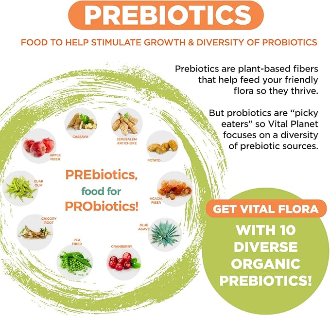 Vital Planet - Vital Flora Advanced Probiotic 100 Billion CFU, 100 Diverse Strains, 10 Organic Prebiotics, Immune Support, Digestive Health Shelf Stable Probiotics for Women and Men 30 Capsules
