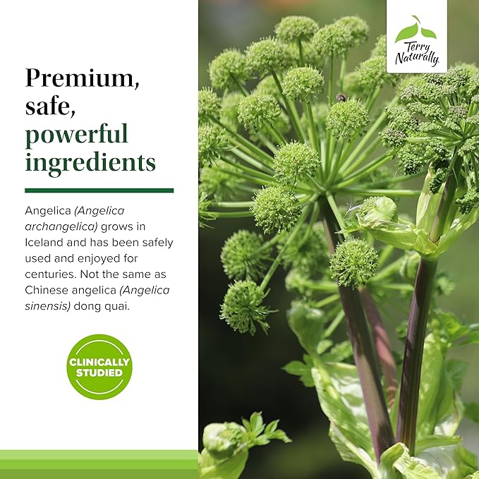 Terry Naturally SagePro Bladder - Bladder Support Supplement - Dietary Supplement with Angelica Leaf Extract - Vegan Capsules to Aid Urinary Tract Function & Health - 30 Capsules