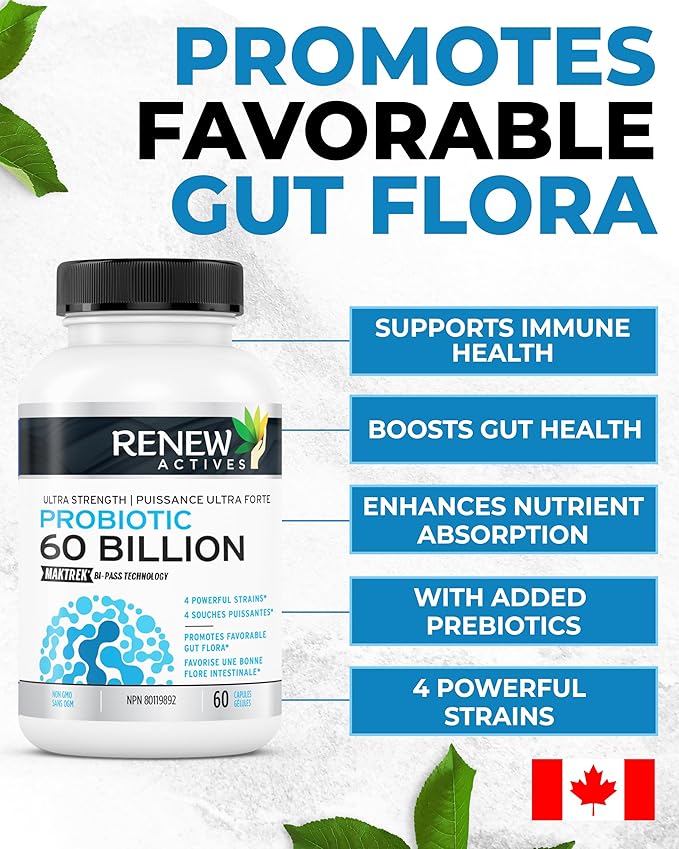Renew Actives Probiotic Supplement for Digestive Health 60 Billion CFU per 2 Capsules - Advanced Formula with Prebiotic Benefits - Supports Gut Flora Balance & Wellness - Made in Canada - 60 Capsules