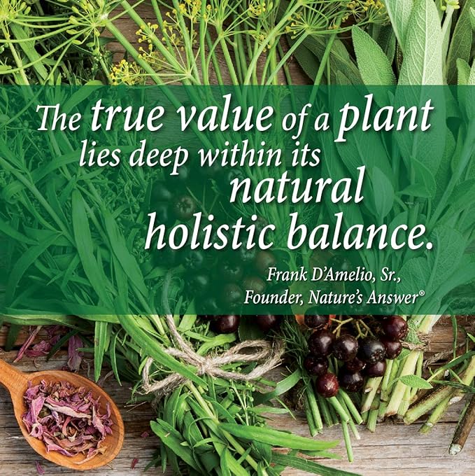 Plant Head Real Meal Organic Plant Based Protein Powder, Vanilla - Vegan, Low Net Carbs, Non Dairy, Gluten Free, Lactose Free, No Sugar Added, 2.3 Pound