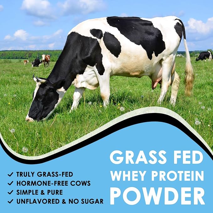 NATURE TARGET Whey Protein Powder, Unflavored Protein Powder, Whey Protein Isolate for Muscle Growth & Recovery, 26G Protein, Gluten Free & No Sugars, 16 Servings, 1.10 Pound (500 G)