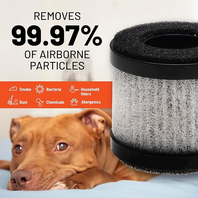 FRAM H13 HEPA Filtration Air Purifier Replacement Filter for Model CAP30100 & CAP30200 | Cleans Air of Smoke, Dust & Other Contaminants | Provides 500 Hours of Use | CAP30111