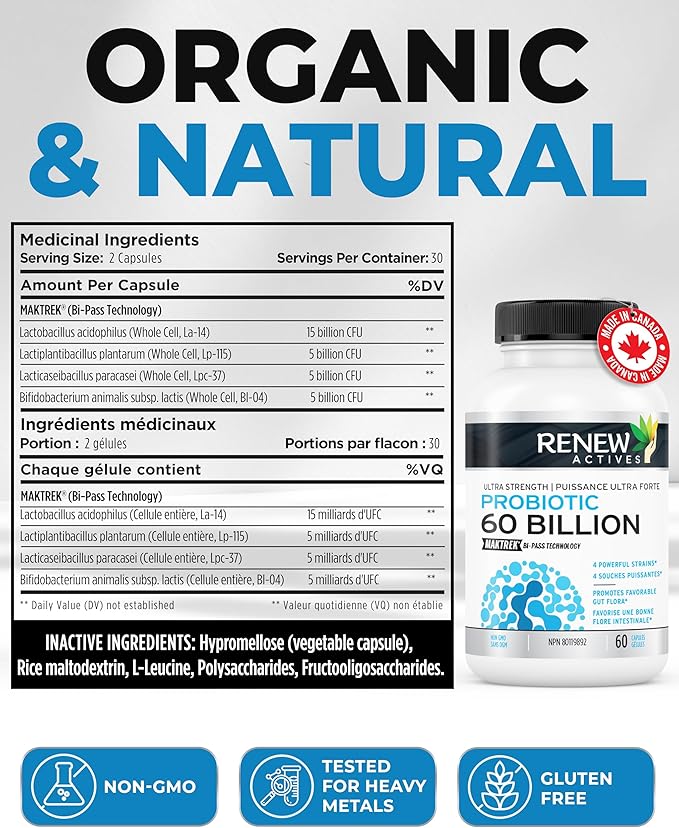 Renew Actives Probiotic Supplement for Digestive Health 60 Billion CFU per 2 Capsules - Advanced Formula with Prebiotic Benefits - Supports Gut Flora Balance & Wellness - Made in Canada - 60 Capsules