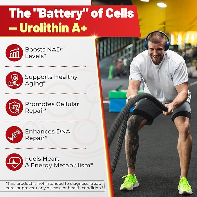 Urolithin A 1000mg Gummies with NAD+, CoQ10, Resveratrol & L-Carnitine – Liposomal Urolithin A+ Supplement for Mitochondrial & Cellular Energy, Muscle & Healthy Aging – High Absorption – Vegan, 60ct