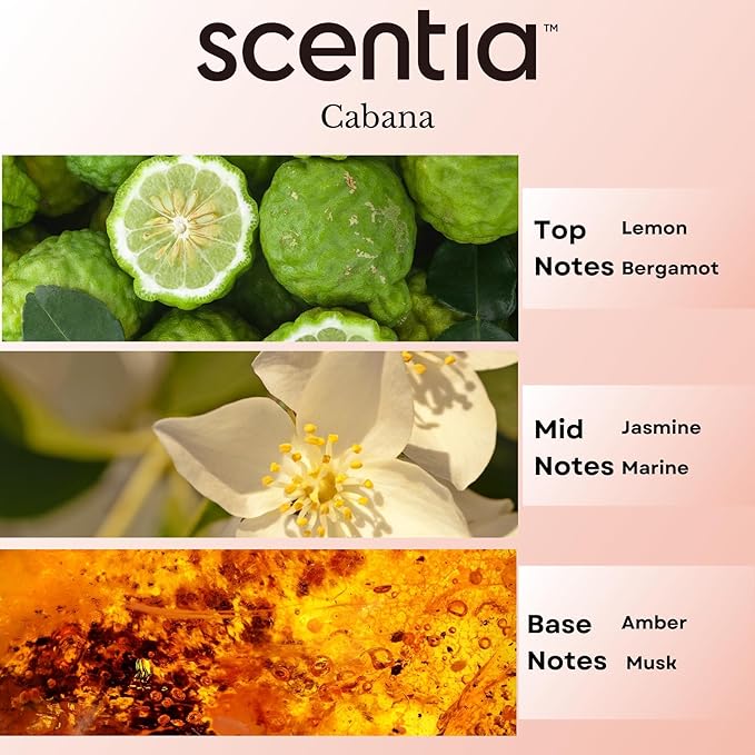 Hotel Diffuser Oil Inspired by The Ritz Carlton Hotel Scent - 20 mL 0.67 fl oz - Fragrance Oil Blend Botanical Jasmine, Bergamot & Fresh Marine Notes for Aromatherapy Diffusers - Cabana