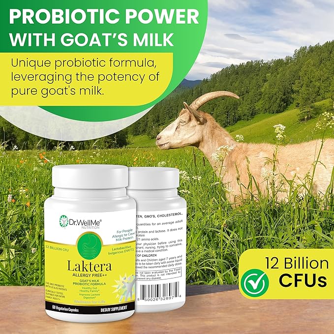 Dr.WellMe | Laktera Probiotic Digestive Aid | Truly Effective for Gut Health | 60 Capsules, 12 Billion CFU + Lactobacillus Bulgaricus | Kosher