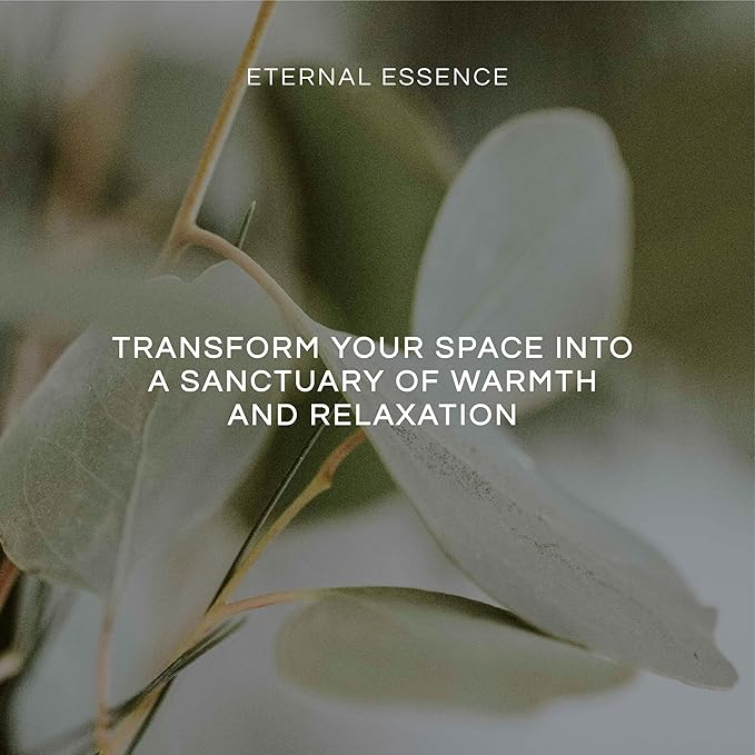 Eternal Essence Oils Coastal Set of 6 Premium Fragrance Oils - Includes Mountain Meets Ocean, Seaside Citrus, Island Hop, Kelp, Beautiful Day, and Coral Reef Scented Oils - 10ML